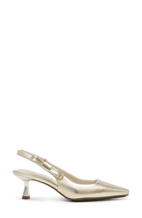 Shop Anne Klein Carmel Pointed Toe Slingback Pump In Light Gold