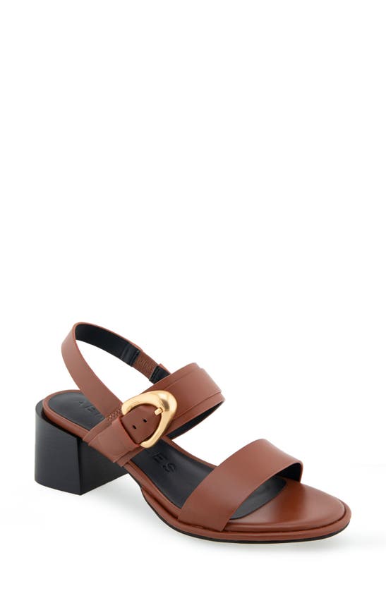 AEROSOLES AEROSOLES NOVA BLOCK HEEL SANDAL 