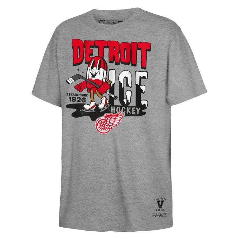 Shop Mitchell & Ness Youth  Gray Detroit Red Wings Popsicle T-shirt