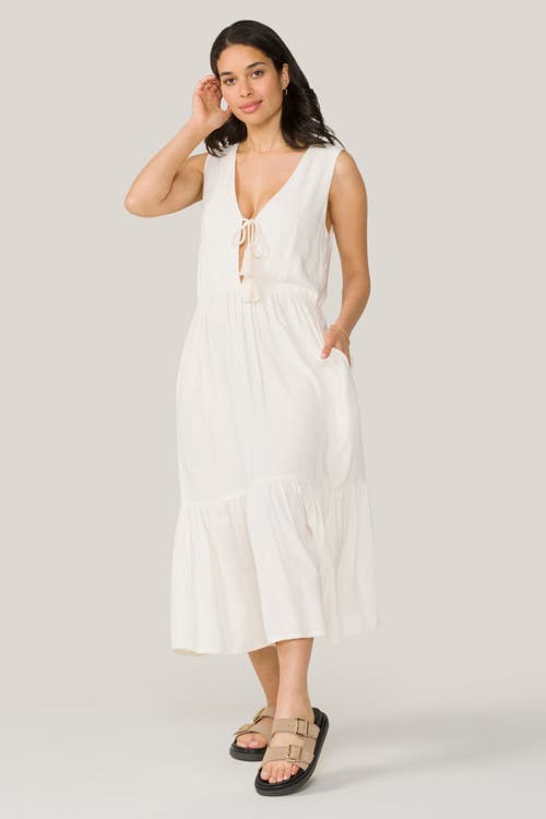 Alala Seaside Dress In Bone