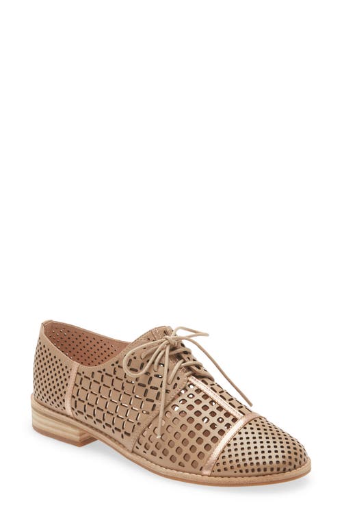 DJANGO AND JULIETTE Avert Perforated Derby in Nude/Pale Rose Gold