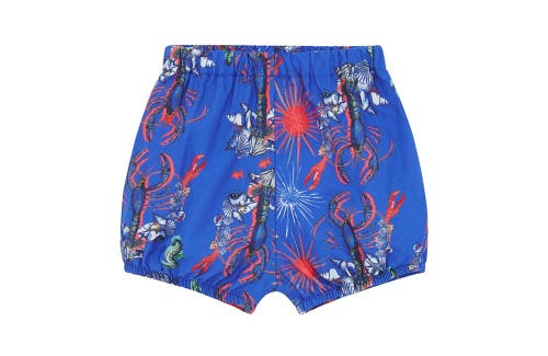 Vild House Of Little Vild Lab No.8 In Lobster Print
