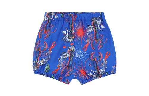 Shop Vild House Of Little Vild Lab No.8 In Lobster Print