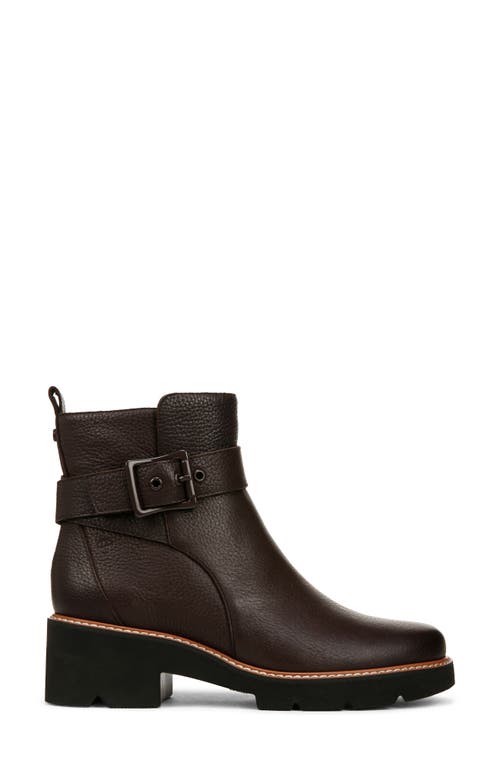 Shop Naturalizer Darry Water Repellent Moto Bootie In Coffee Bean Brown