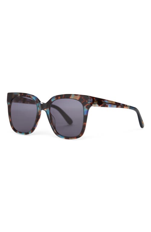 TOMS TOMS NATASHA 53MM POLARIZED SQUARE SUNGLASSES