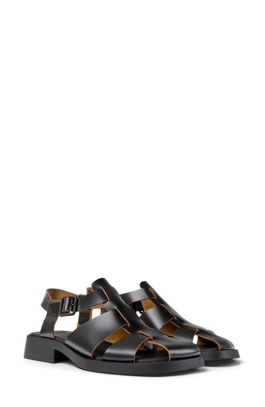 Camper Dana Buckled Sandals In Black