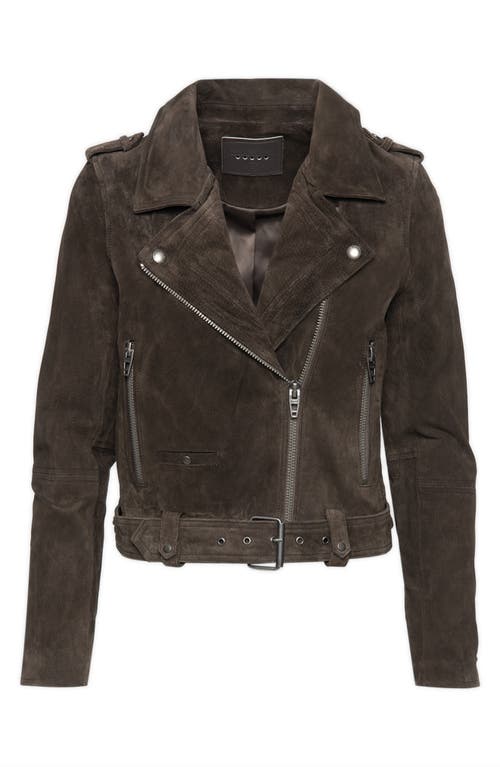 BLANKNYC Suede Moto Jacket in Asphalt