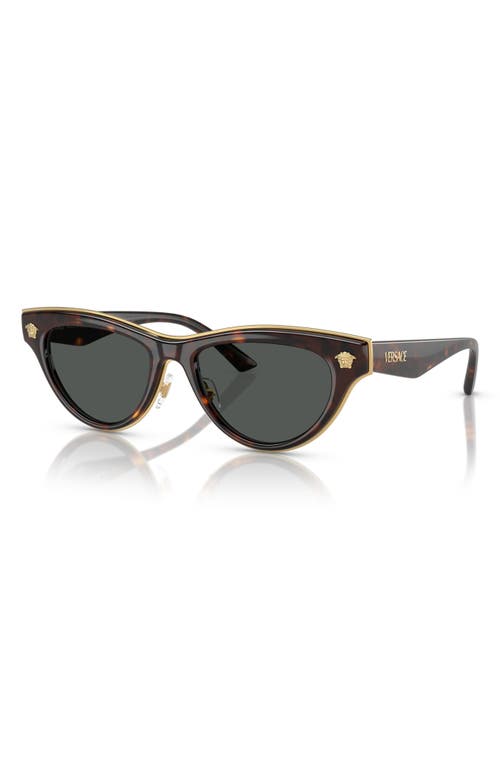 Shop Versace 52mm Cat Eye Sunglasses In Havana