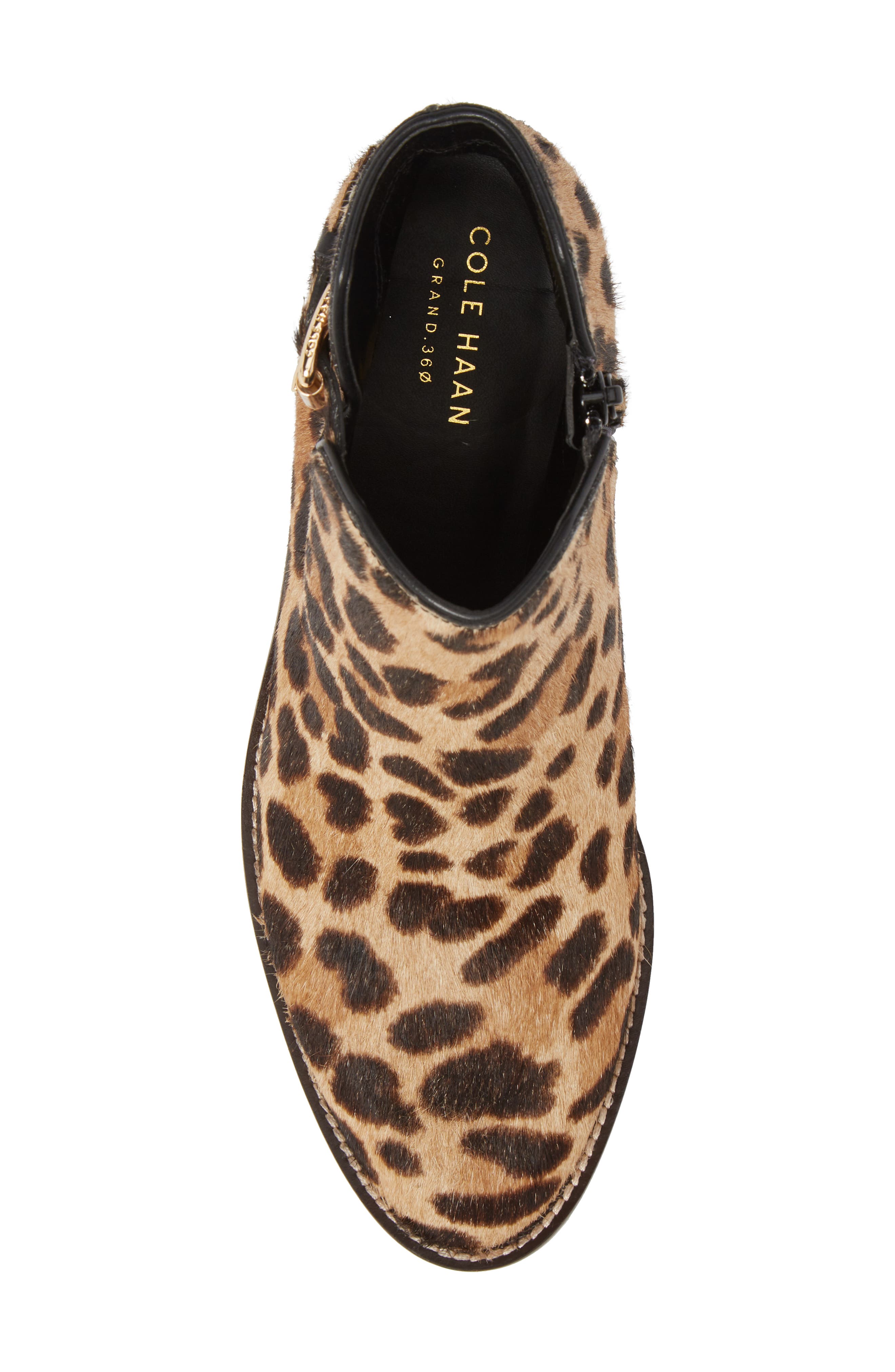 cole haan harrington buckle bootie