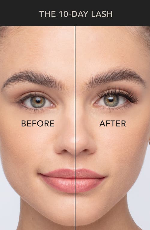 Pro Lash Single False Lash Set In Classic No. 01