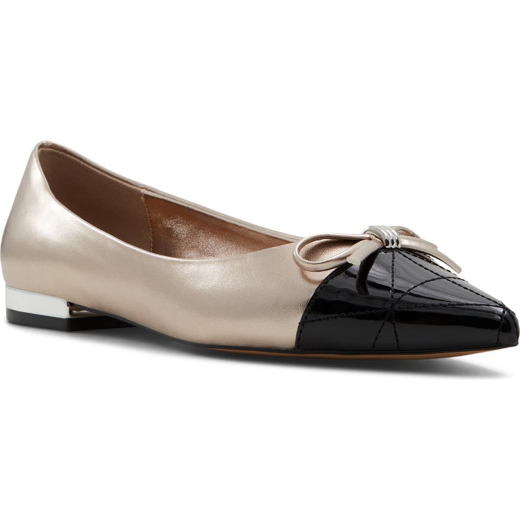 Aldo Women's Maddelyn Pointed-toe Ballerina Flats In Silver