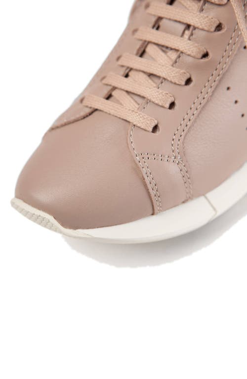 Shop Paloma Barceló Paloma Barcelo Alenzon Wedge Sneaker In Med. Purple/mauve