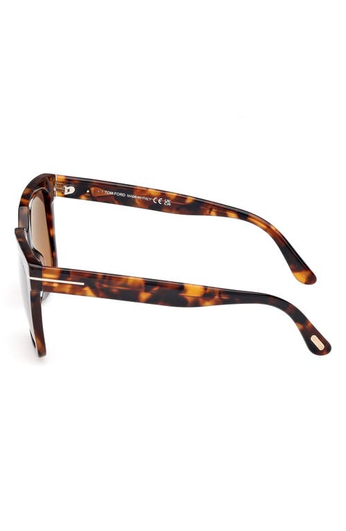 Tom Ford Haylay Acetate Rectangle Sunglasses In Vntg Dk Havana/grad Smk Brown