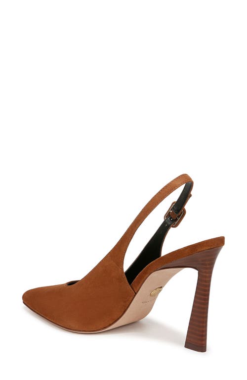 Shop Veronica Beard Callie Pointed Toe Slingback Pump In Caramel