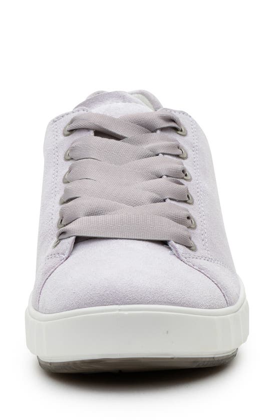 Shop Ara Alexandria Suede Sneaker In Flieffer Lavender
