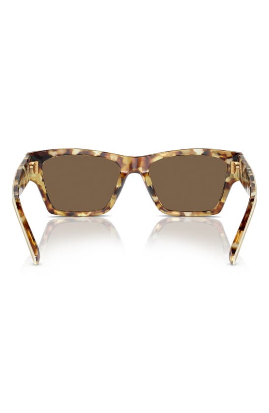 Tory Burch Women's 0ty7207u 53mm Rectangular Sunglasses In Dark Brown