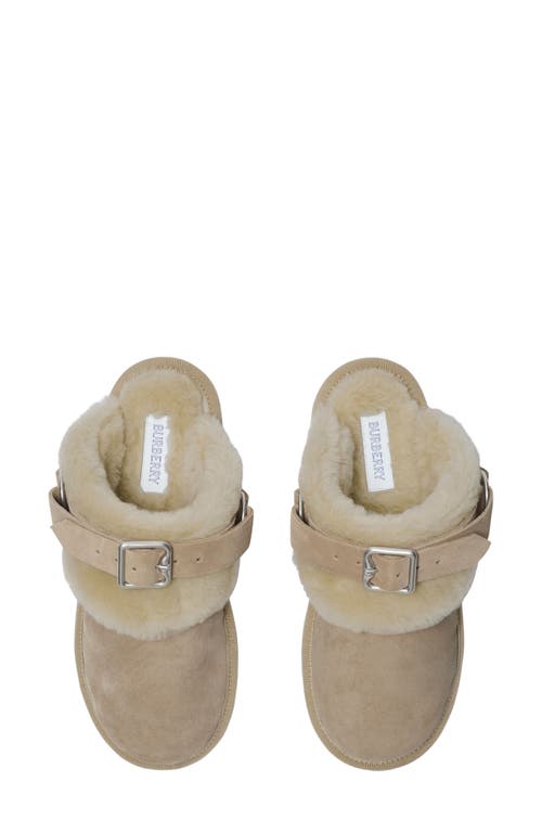 Shop Burberry Snug Genuine Shearling Clog In Hunter