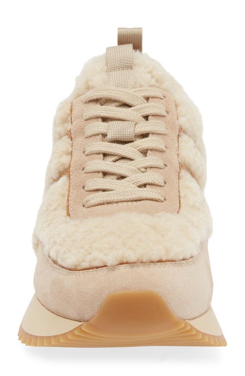 Shop Moncler Pacey Genuine Shearling Sneaker In Beige