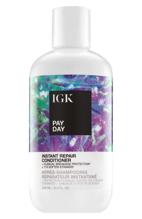 Pay Day Instant Repair Conditioner