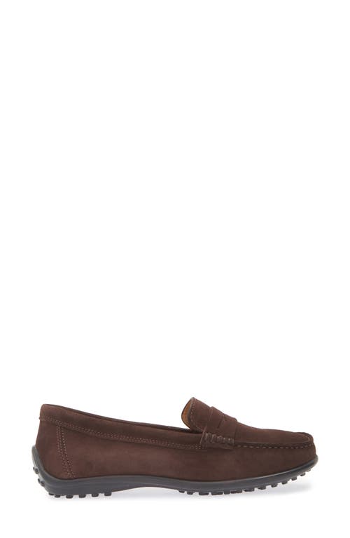 Shop The Flexx Winter Penny Loafer In Corteccia