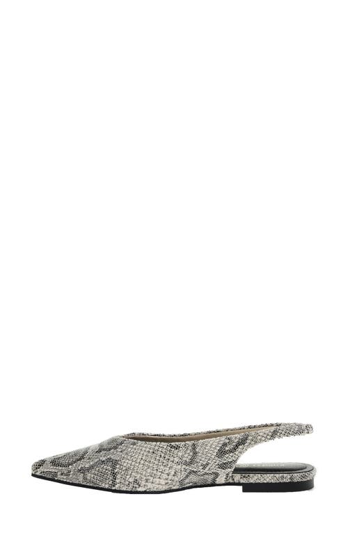Chinese Laundry Hadiya Pointed Toe Slingback Flat In Cream Snake Embossed