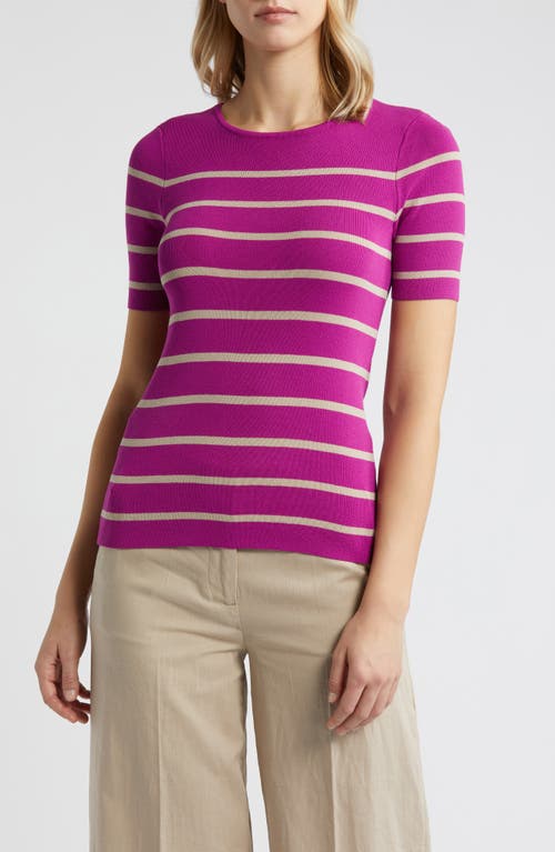 Tahari Asl Stripe Short Sleeve Sweater In Wild Berry Sand