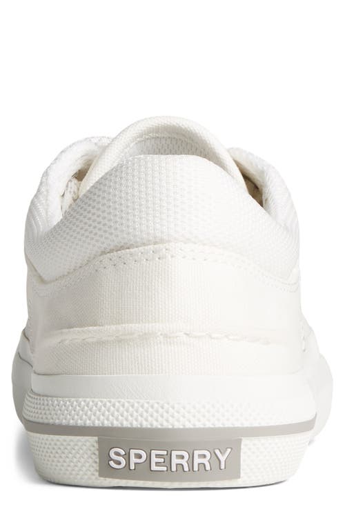 Sperry Crossjack Sneaker In White