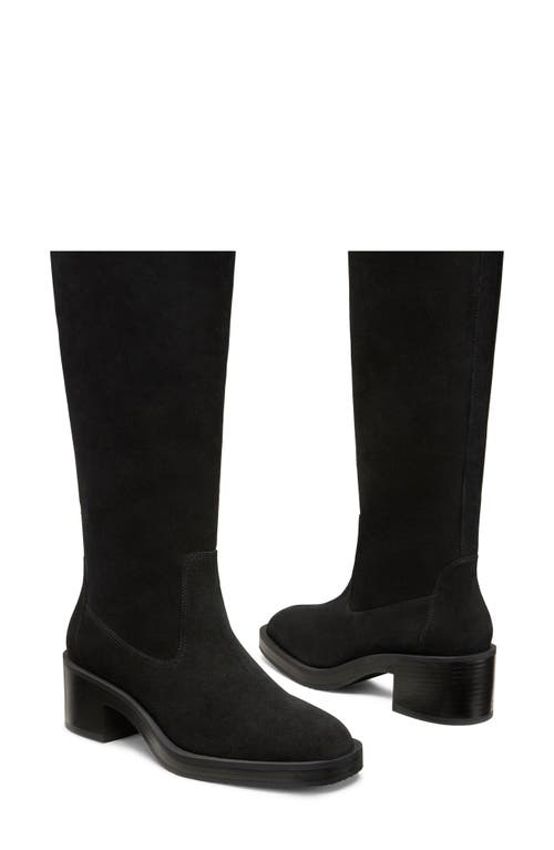 Shop Stuart Weitzman Kaia Knee High Boot In Black