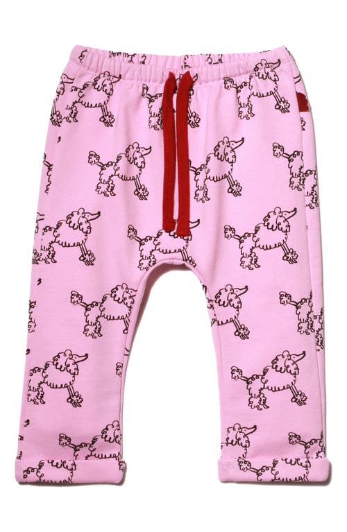 Mon Coeur Poodle Print Drawstring Waist Pants In Bonbon/print
