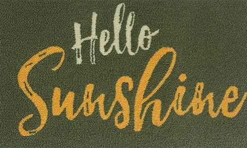 R16 Home Hello Sunshine Doormat In Fern Multi
