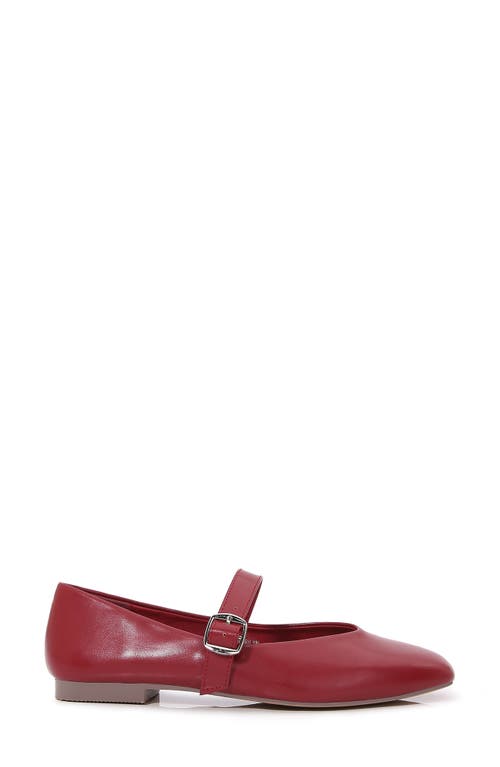 Shop Berness Marily Mary Jane Flat In Wine