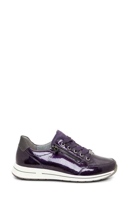 Shop Ara Oleanna Zip Sneaker In Purple