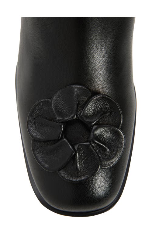 Stuart Weitzman X Sandy Liang Knee High Boot In Black Nappa