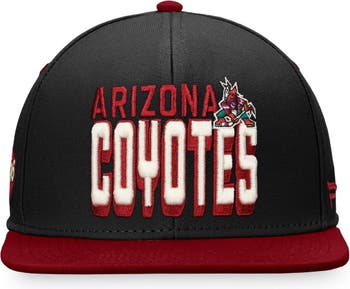 Fanatics Branded Arizona Coyotes Black Core Alternate Logo