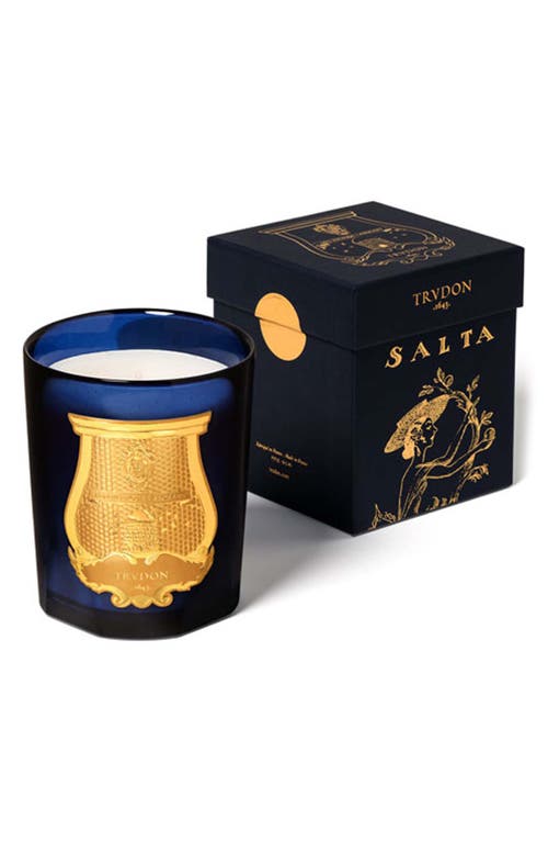Trudon Reggio Calabrian Citrus Candle In No Color
