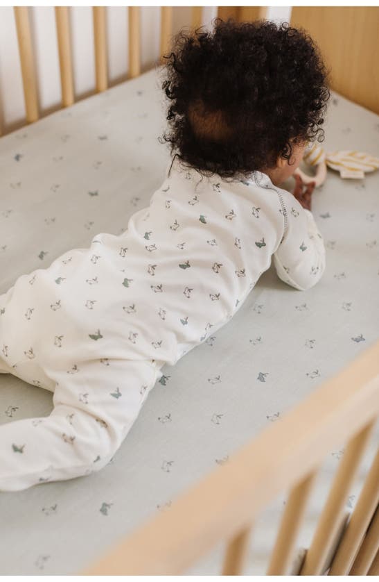 Shop Pehr Hatchlings Zip Fitted One-piece Organic Cotton Pajamas In Hatchling Bunny