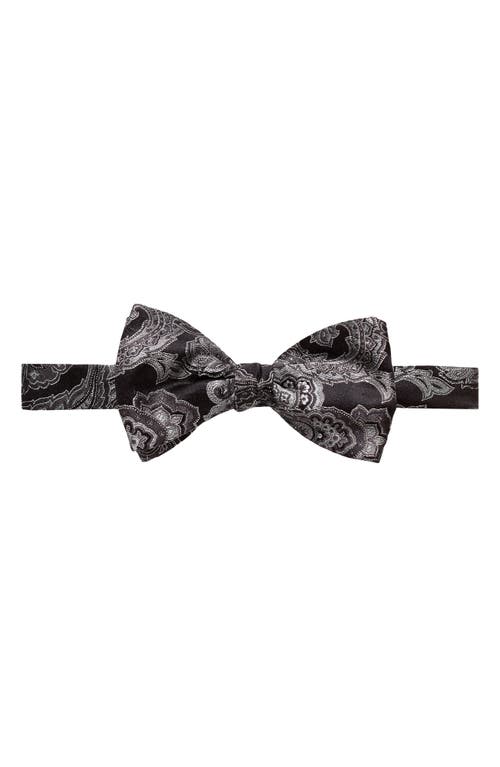 Eton Paisley Bow Tie in Silver at Nordstrom