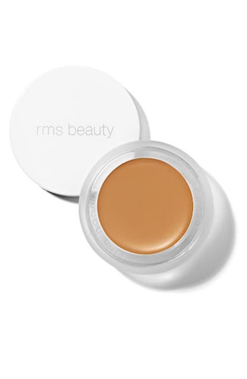 Uncoverup Concealer in 55