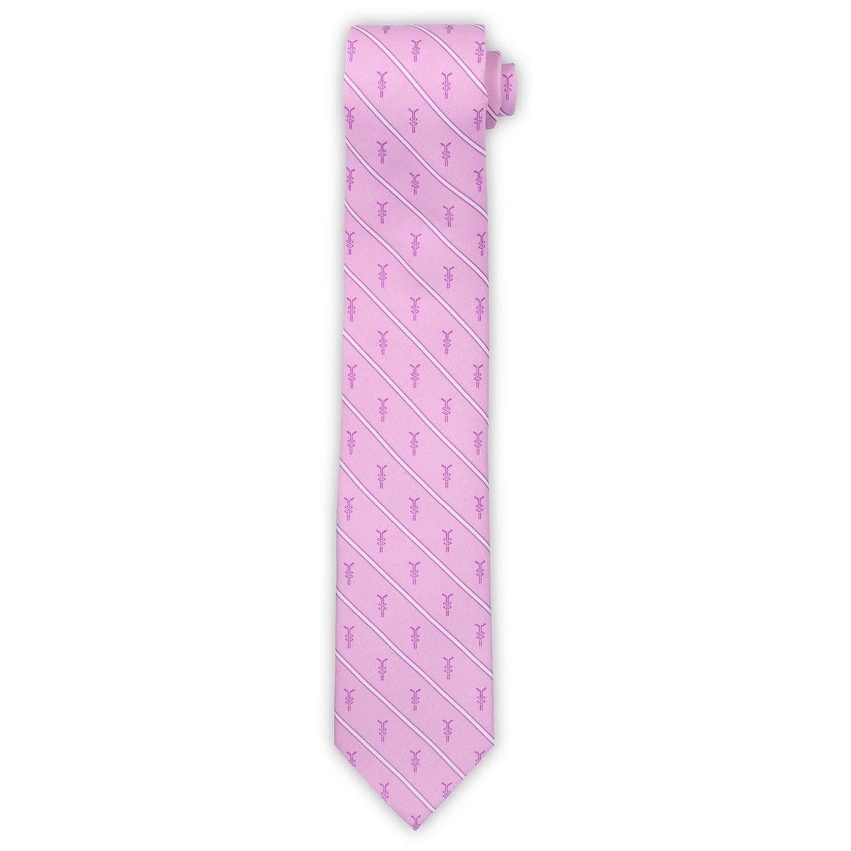 vineyard vines bruins tie