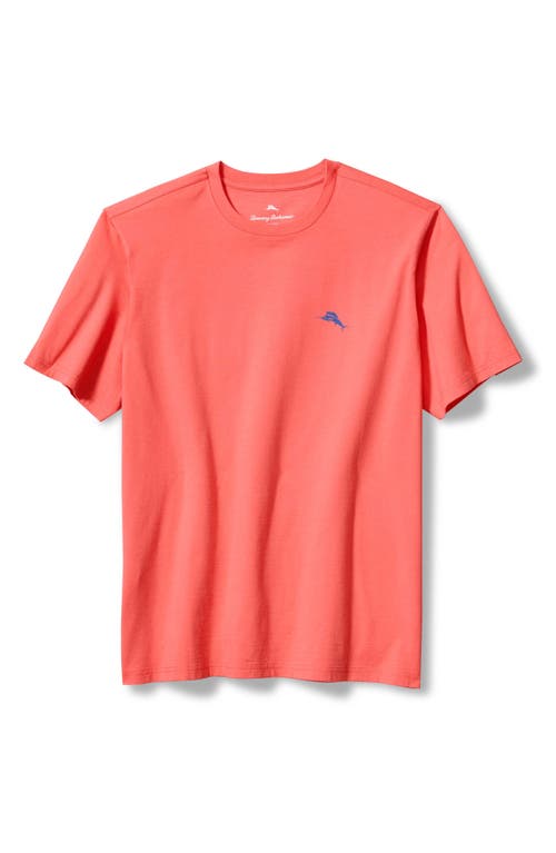 Shop Tommy Bahama Marlin Driver Graphic T-shirt In Dubarry Coral