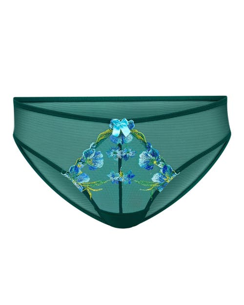 ADORE ME ADORE ME DAPHNE BIKINI PANTIES