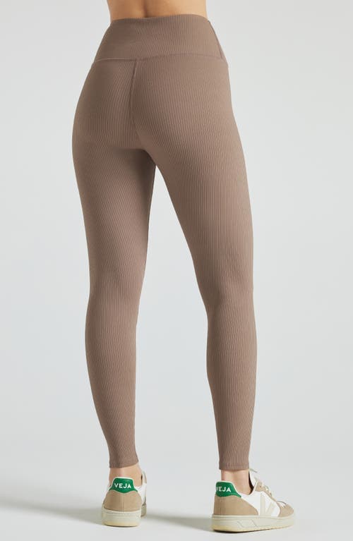 Shop Losano Renew Rib Legging In Pine Bark