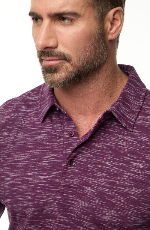 Shop Robert Graham Thales Space Dye Long Sleeve Polo In Dark Purple