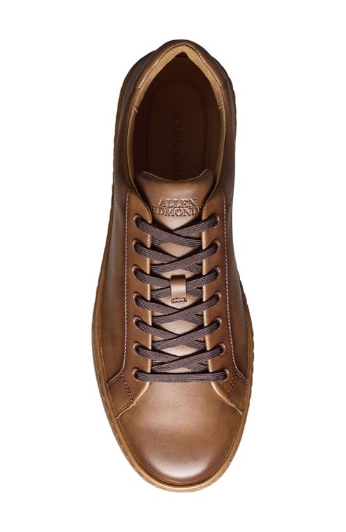 Allen Edmonds Men's Barnes Leather Low-top Sneakers In Mahogany