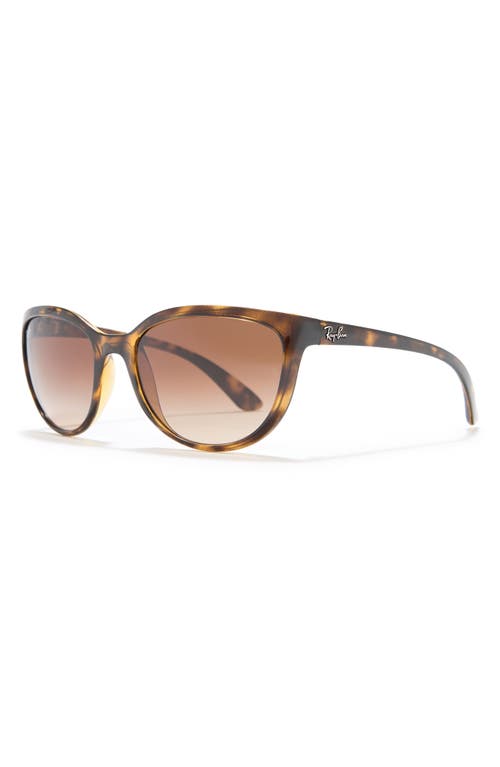 Shop Ray Ban Ray-ban 59mm Cat Eye Sunglasses In Light Havana/brown Gradient