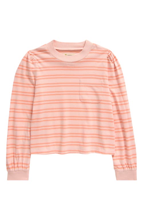 Shop Tucker + Tate Kids' Stripe Long Sleeve Cotton Pocket T-shirt In Pink English Janie Stripe