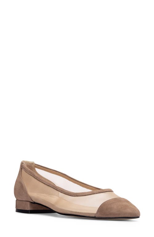 Ray Pointed Toe Flat in Haze Suede Combo