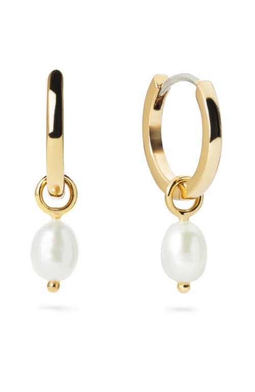 Shop Ana Luisa Pearl Huggie Hoops In Gold