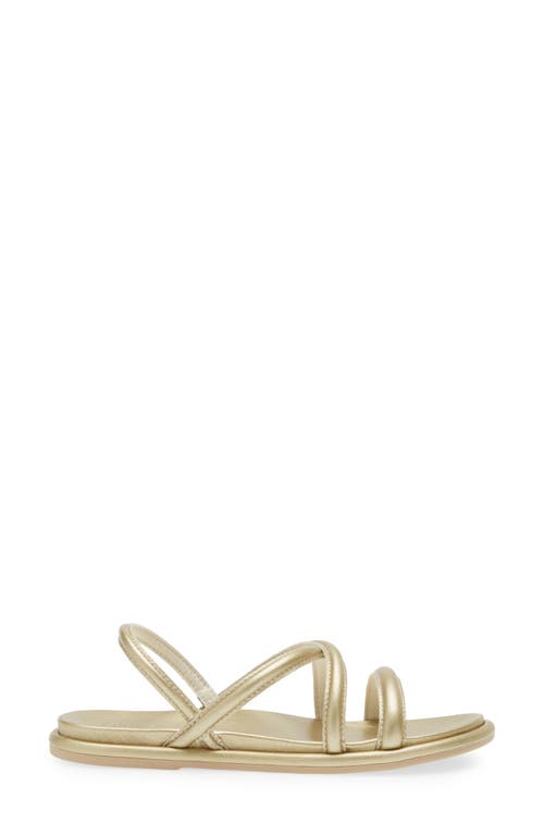 Shop Olukai Tiare Slingback Sandal In Bubbly/bubbly