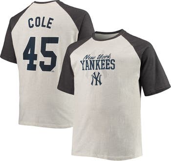 Profile Men's Navy/White New York Yankees Big & Tall Pullover Sweatshirt